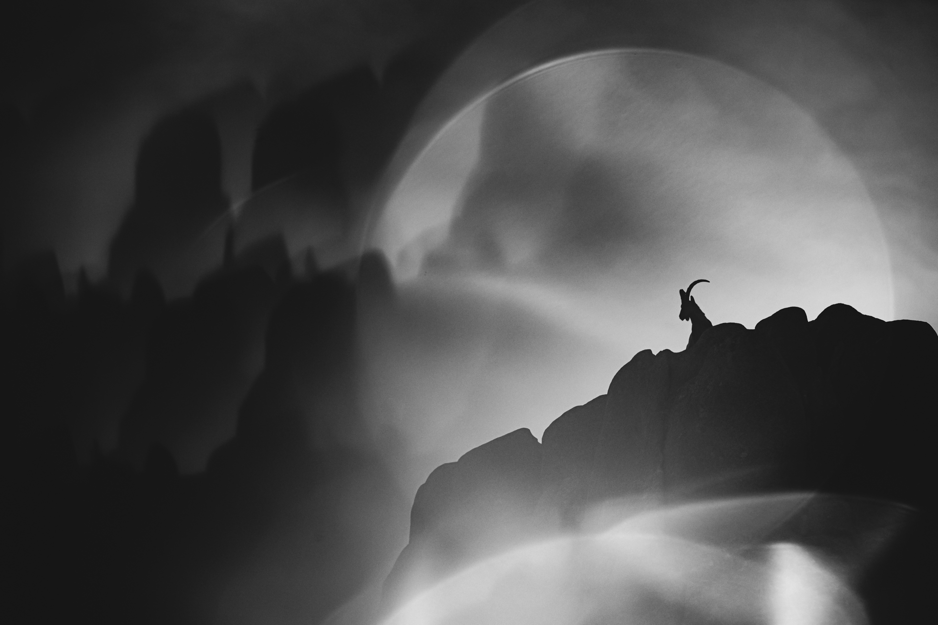 Cabra montés sobre una cresta rocosa en la Sierra de Guadarrama, imagen en blanco y negro reconocida con mención de honor en el Festival La Pedriza 2025 gracias al impulso del Ayuntamiento de El Boalo, Cerceda y Mataelpino.